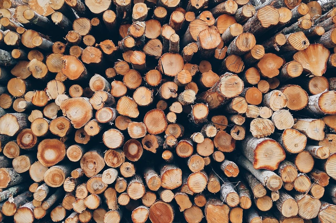 Where do your materials come from? - wood production