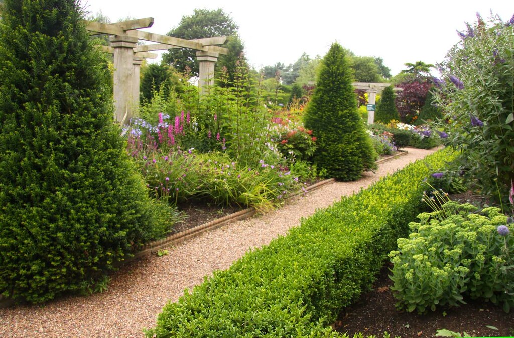 Garden Improvements - clean pathways and cut back plants and shrubs