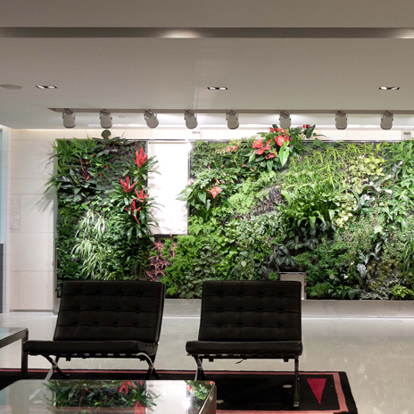 Next Generation Green Wall