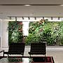 Next Generation Green Wall
