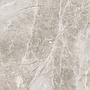 Polished KS89535 Tile