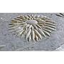 3D Waterjet Mosaic Mum
