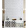 3D Waterjet Mosaic Prospect