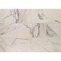 Calacatta Gold Marble MT-W15