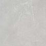 Dry Grain Soft Polished ET60609 Tile